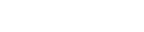 Google Home